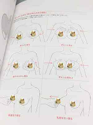 图片16
