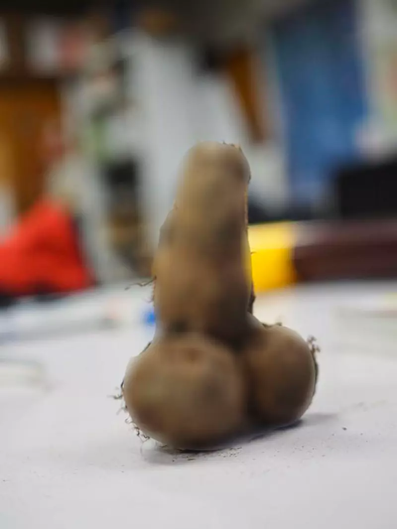 图片5